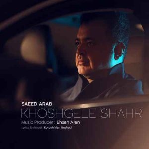 دانلود اهنگ سعید عرب خوشگل شهر